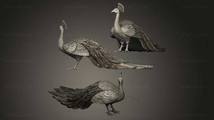 Bird figurines (STKB_0060) 3D model for CNC machine